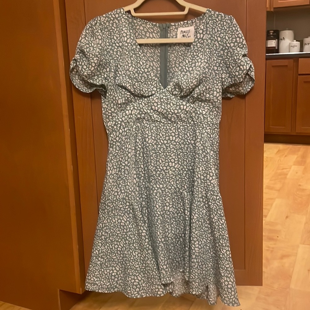 Princess Polly Dress